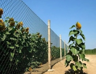 MIEJSKIE DZIECI TUSKA. ZGODZĄ SIĘ NA&nbsp;WSZYSTKO