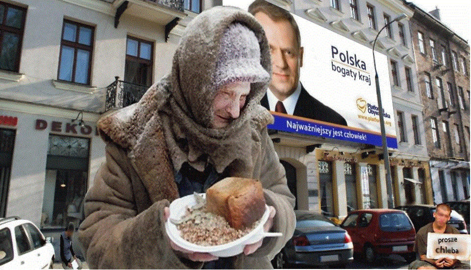 W POLSCE Z BIEDY POLUJĄ NA&nbsp;GOŁĘBIE!
