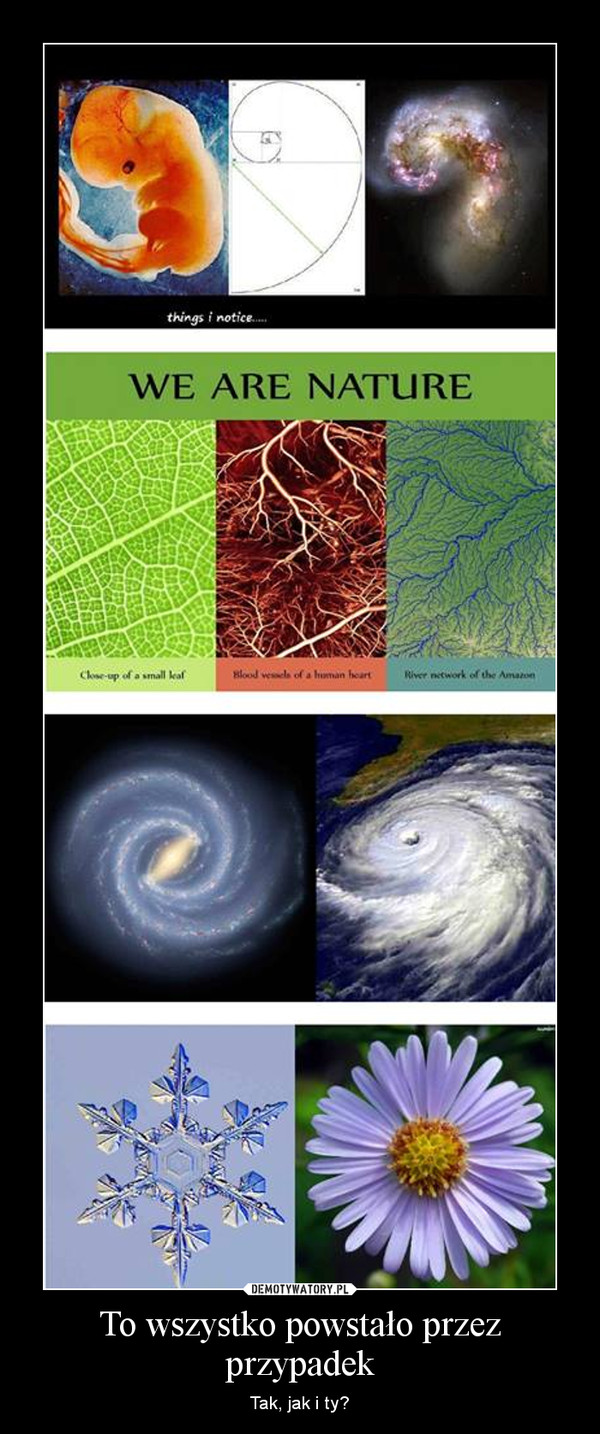 swieta geometria swiadomosc