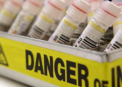 KARAGEN: RAKOTWÓRCZE ŚWIŃSTWO NA TWOIM&nbsp;TALERZU!