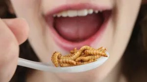 OHYDNE ROBACTWO W MÓZGU. PRZECZYTAJ JAK DASZ RADĘ!&nbsp;[+18]