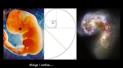 EFEKT MOTYLA: TO SKRAJNIE&nbsp;DZIWNE