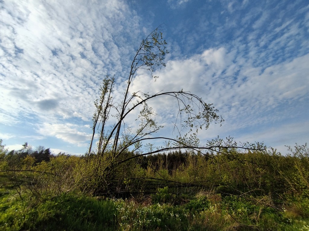 TAJEMNICE PSYCHOLOGII: NIE DAJ SIĘ&nbsp;SZANTAŻOWI!