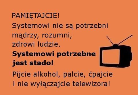 STOP GŁUPIEJ POP-KULTURZE!