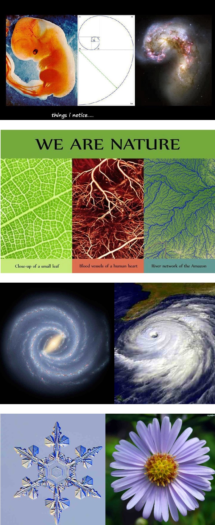 swiadomosc duchowosc i nauka fizyka kwantowa