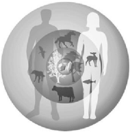 transformacja ludzkości