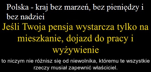 kapitalizm wady i krytyka