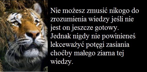 globalna świadomość