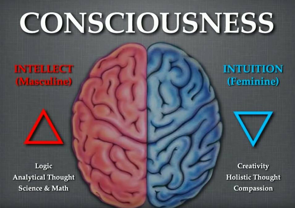 14184292_10154516856859343_5357246454613273546_n