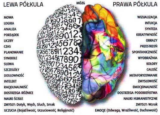 12088301_933060006759514_2627756621780205055_n