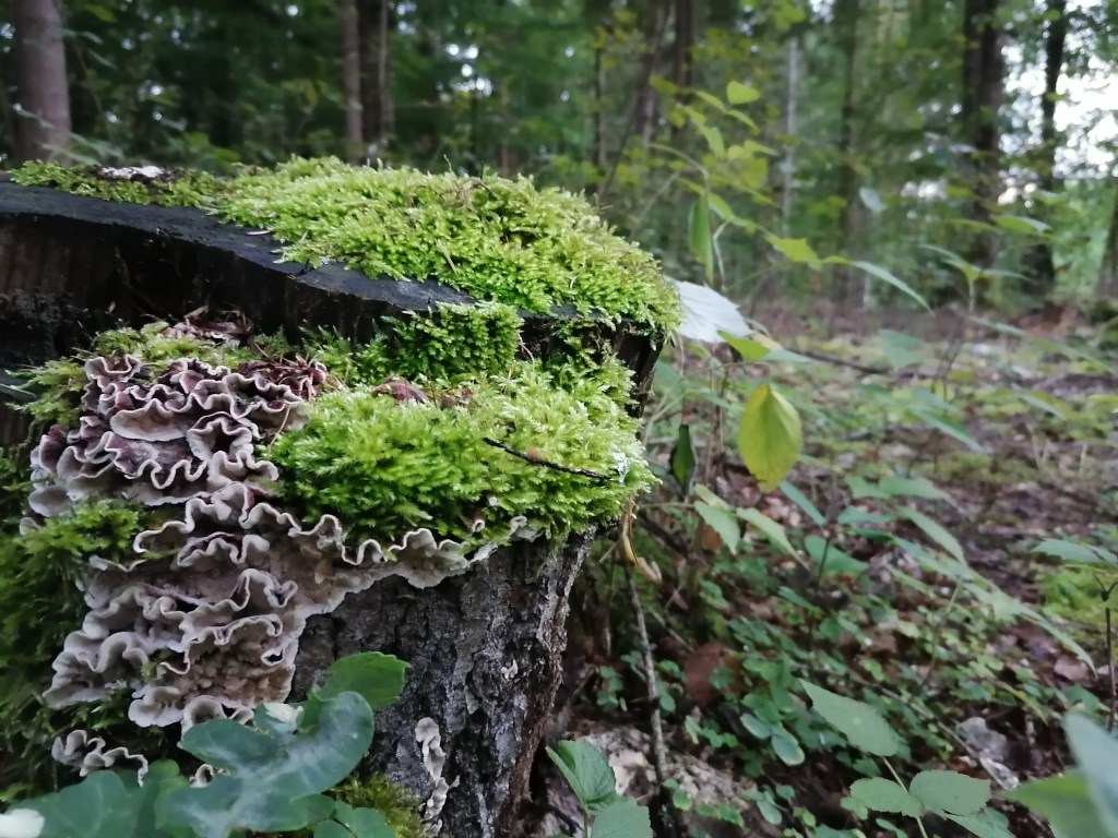 NO TO MAMY 1 MIESIĄC JESIENI! DZIĘKI WAM ZA&nbsp;WSZYSTKO!