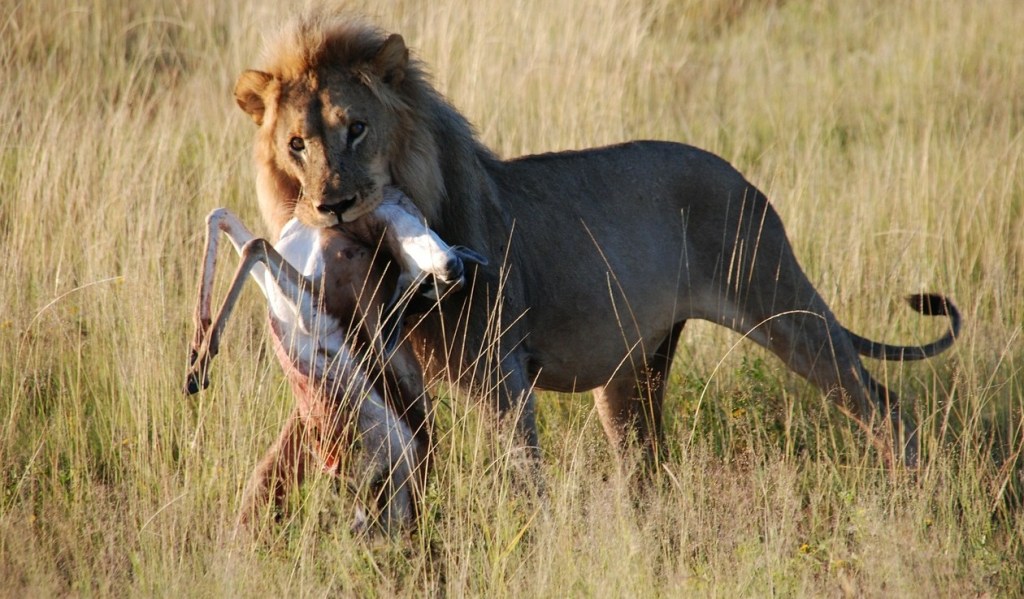 DUCHOWOŚĆ: CZY NATURA JEST DOBRA A CZŁOWIEK&nbsp;ZŁY?