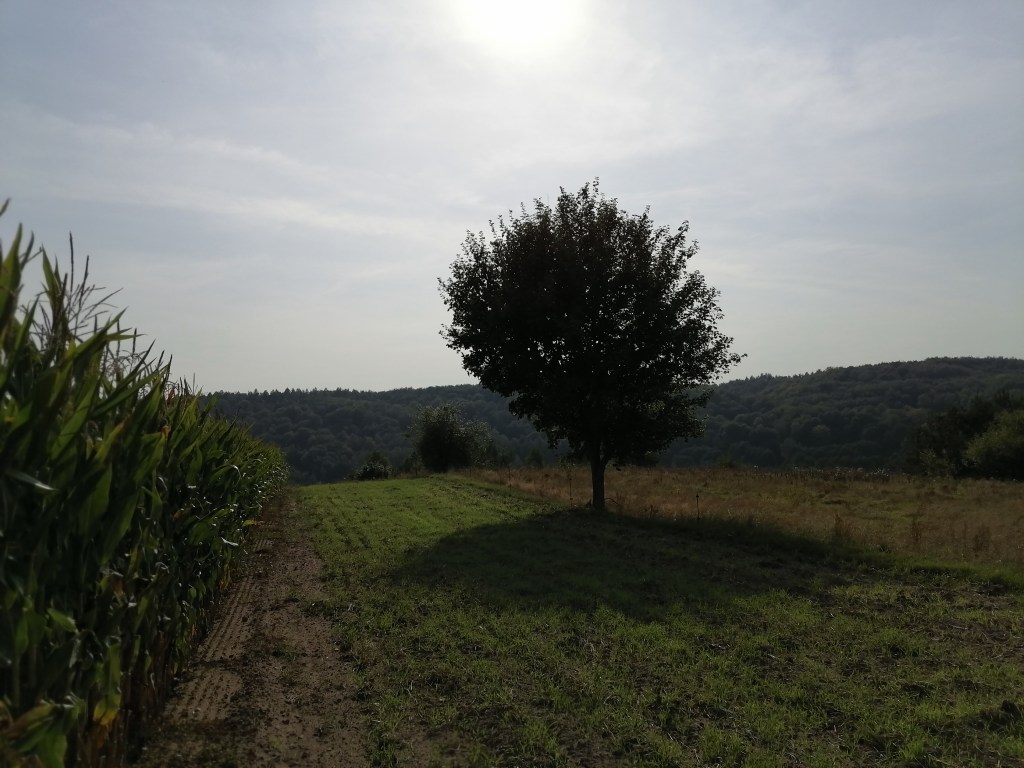 Komu sprzyja szczęście?