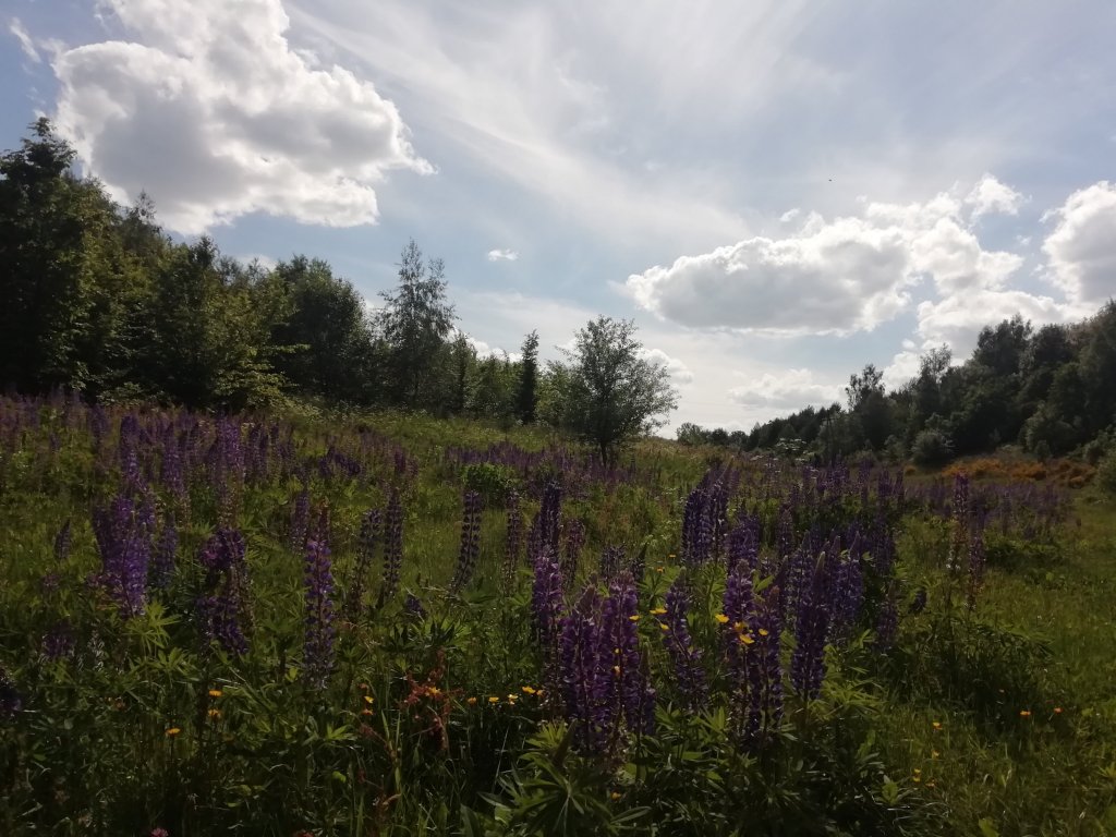 POLSKA JEST PIĘKNA, NIE TRZEBA JECHAĆ&nbsp;DALEKO!