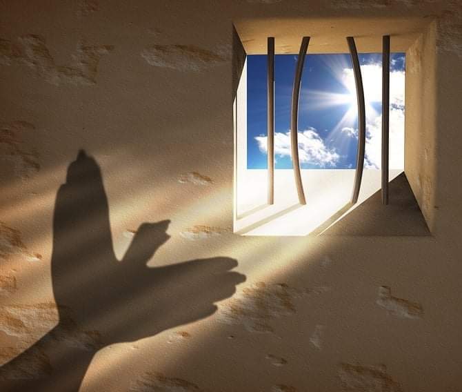 DYLEMAT ETYCZNY [+18] NIEMOWLĘ i&nbsp;MĘDRZEC