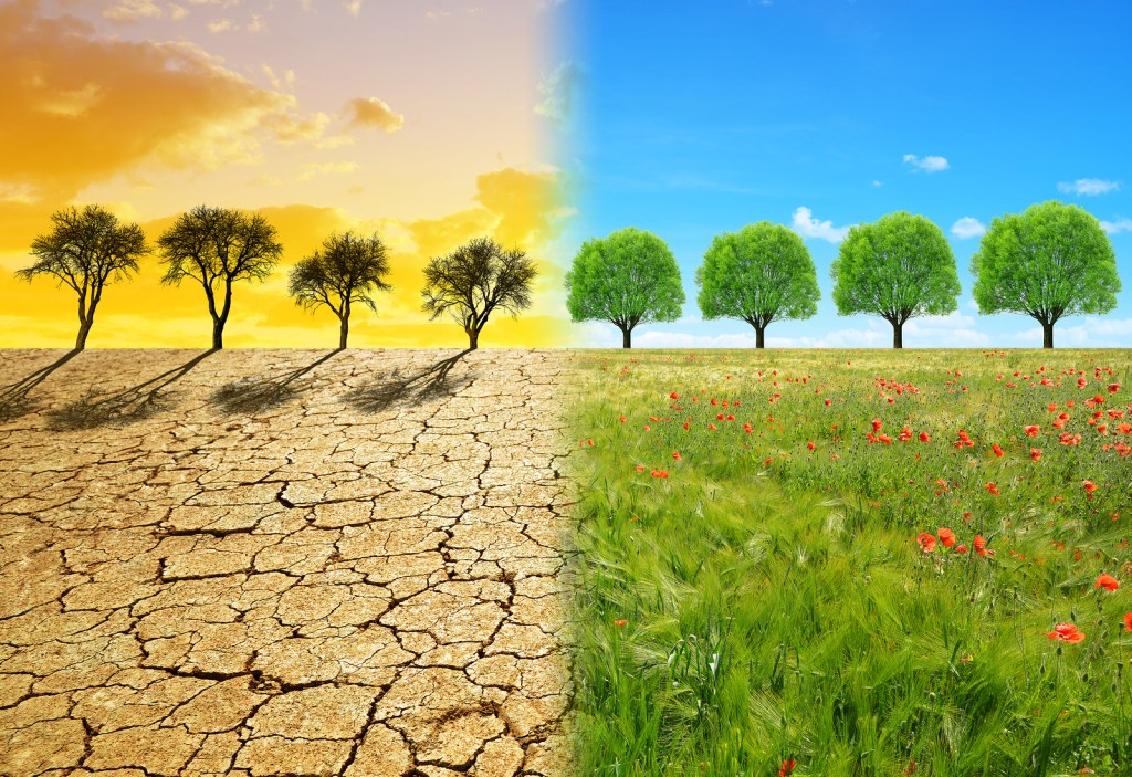 NAJPROSTSZA PRAWDA O KARMIE, JAKĄ&nbsp;CZYTAŁEŚ!