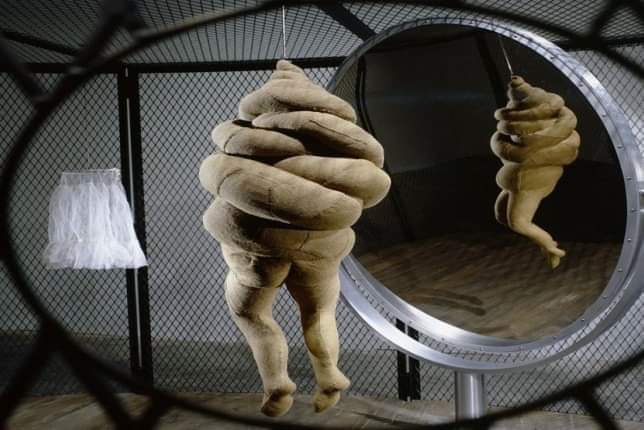 CO POZYTYWNEGO DA CI KONTAKT Z&nbsp;NATURĄ?