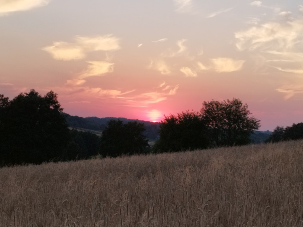CZY POMOŻESZ W UTRZYMANIU STRONY W&nbsp;SIERPNIU?