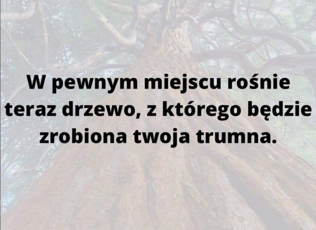 O SYSTEMIE: UWAŻASZ, ŻE NIE JESTEŚ&nbsp;NIEWOLNIKIEM?