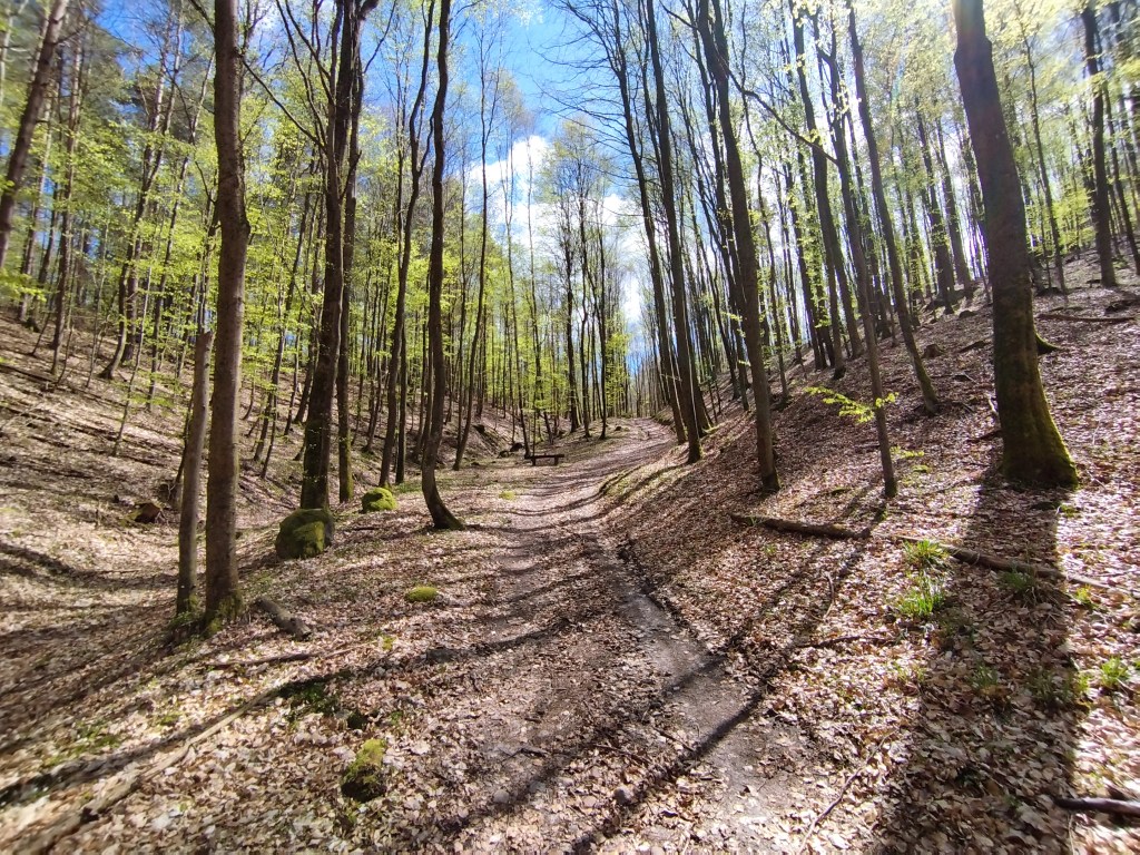 ŁĄKA i LAS CZY KLUB i GALERIA&nbsp;HANDLOWA?