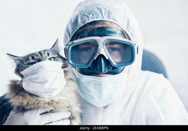 NOWA, TAJEMNICZA CHOROBA ZABIJA KOTY!&nbsp;[APEL]