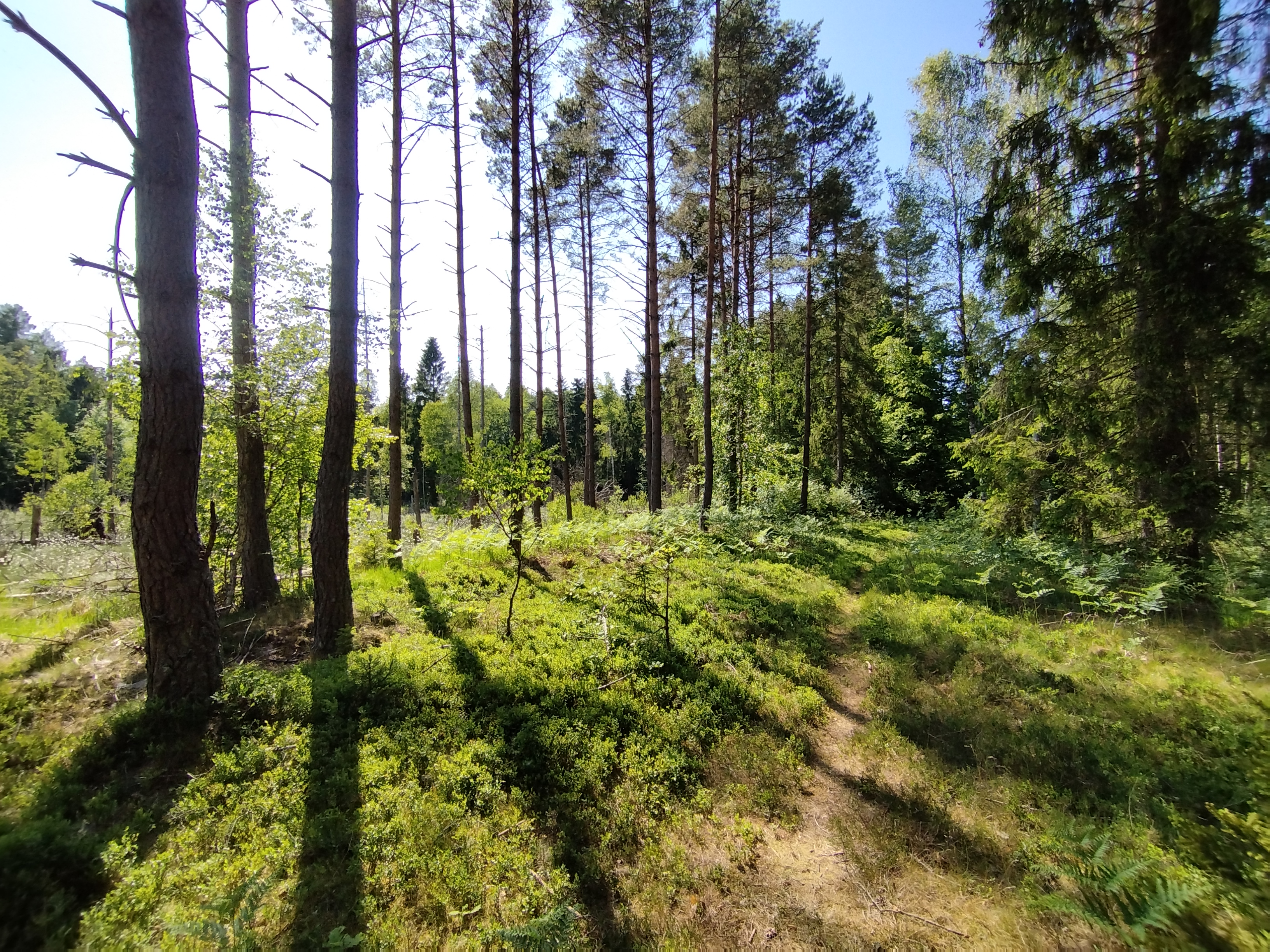 DUCHOWOŚĆ: TAJEMNICZE ZDOLNOŚCI CZŁOWIEKA!