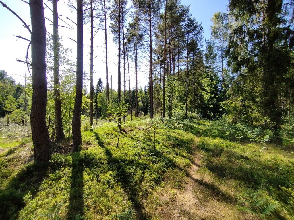 DUCHOWOŚĆ: TAJEMNICZE ZDOLNOŚCI&nbsp;CZŁOWIEKA!