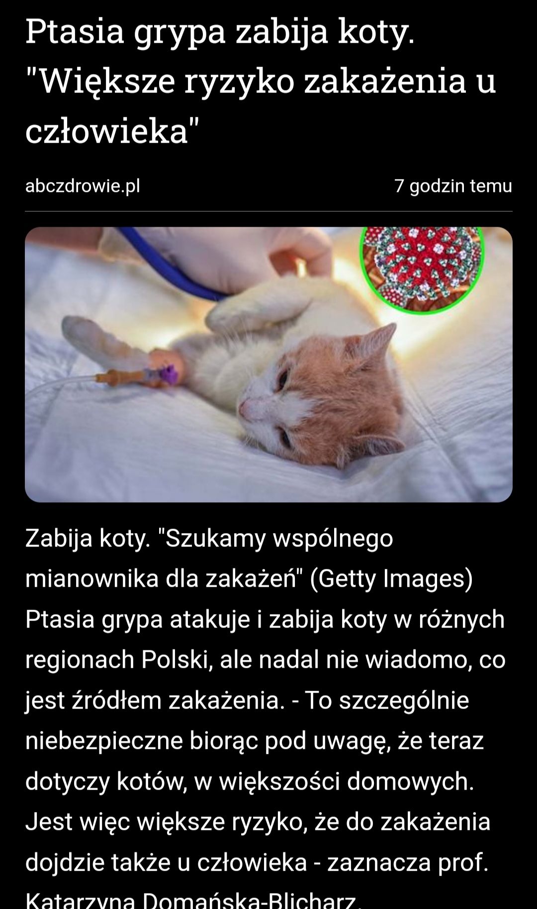 PTASIA GRYPA ZABIJA KOTY. KOLEJNY ELEMENT&nbsp;RESETU!?
