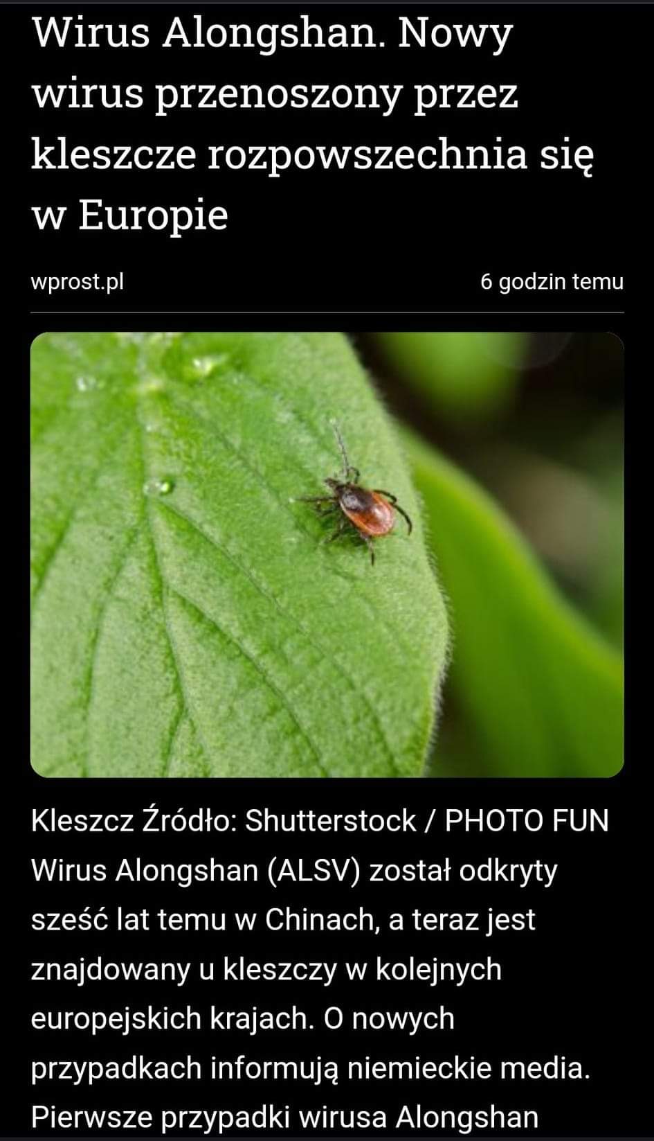 BORELIOZA TO BROŃ&nbsp;BIOLOGICZNA!?