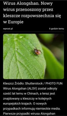 BORELIOZA TO BROŃ&nbsp;BIOLOGICZNA!?