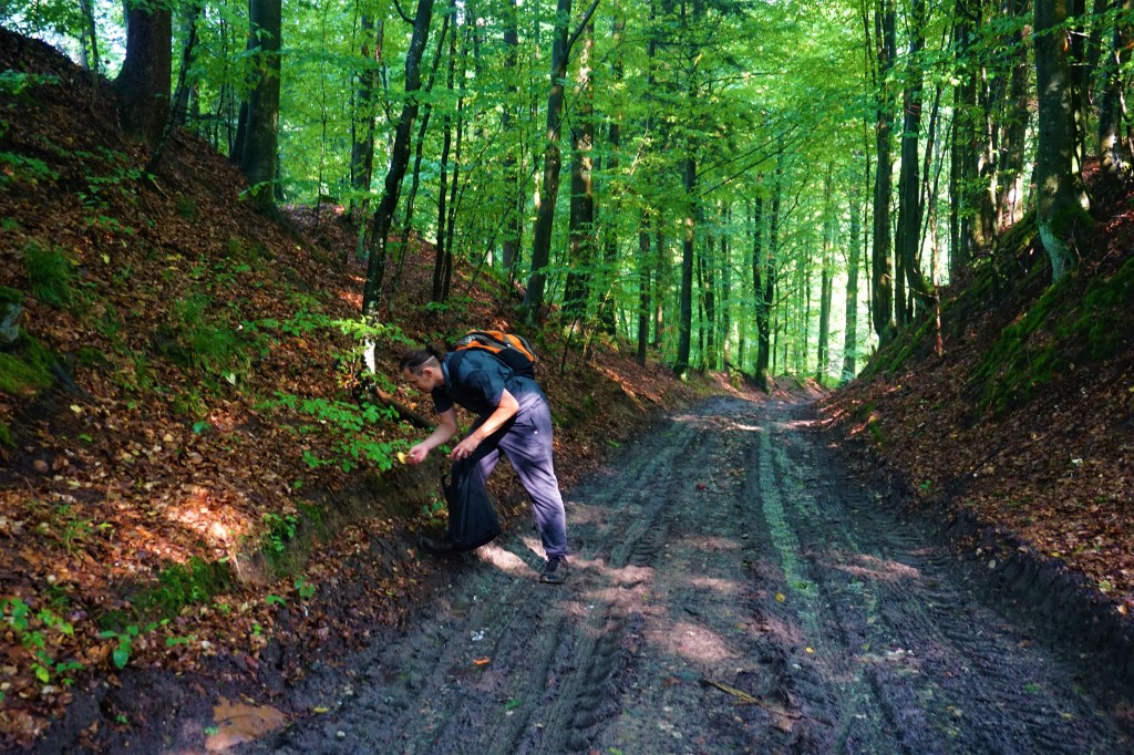 POLSKA WG PO i KONFEDERACJI: SŁABI MAJĄ&nbsp;ZGINĄĆ!