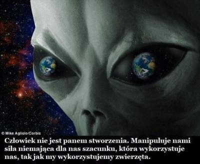 CZY ŚWIAT ZMIERZA KU WIELKIEMU&nbsp;RESETOWI?