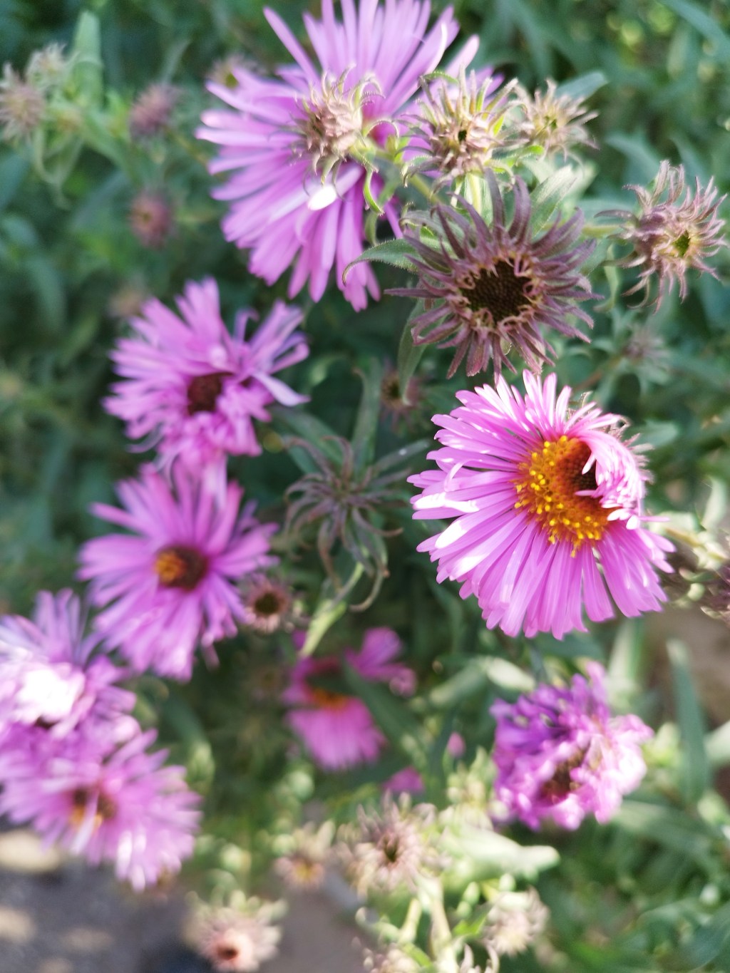 Wesołych Świąt, Rodacy. Wiosny w sercu, Wiosny w Waszych miejscowościach