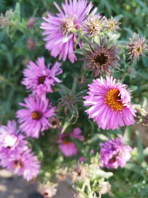 JESIEŃ, ZIMA: REZYGNUJESZ Z WYPRAW DO&nbsp;NATURY?