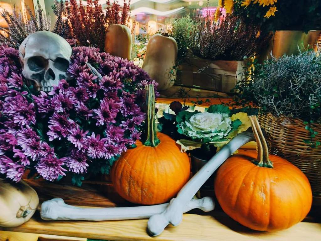 O CO CHODZI W ŚWIĘCIE&nbsp;HALLOWEEN?