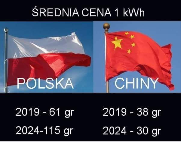 POTRZEBUJĘ WASZEJ POMOCY, BY&nbsp;PRZETRWAĆ!