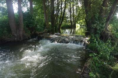 SPŁYW KAJAKOWY JARKA KEFIRA&nbsp;[FOTO]