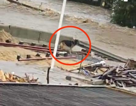 RZĄD ZATAJA PRAWDĘ O OFIARACH&nbsp;POWODZI!