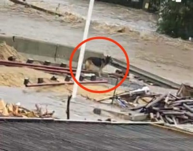 RZĄD ZATAJA PRAWDĘ O OFIARACH&nbsp;POWODZI!