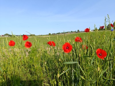 50 KRAJÓW MODYFIKUJE&nbsp;POGODĘ!