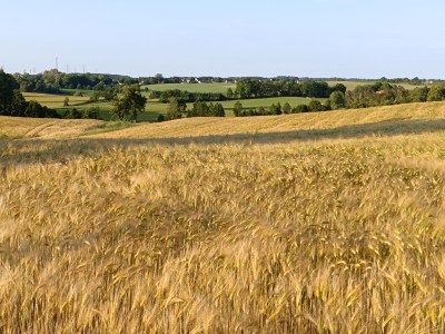 COŚ DZIWNEGO DZIEJE SIĘ ZE&nbsp;SŁOŃCEM!