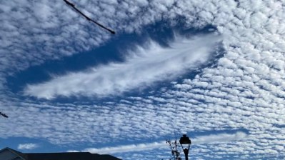 GEOINŻYNIERIA i ANOMALIE W ŚWIECIE&nbsp;ROŚLIN