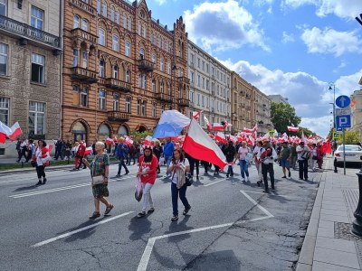 JESTEŚ OWCĄ SYSTEMU? ZDZIWISZ&nbsp;SIĘ!
