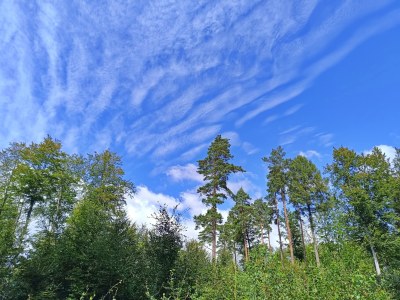GEOINŻYNIERIA: NAUKA i&nbsp;SZALEŃSTWO