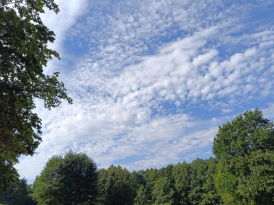 POLSKA POGODA: LISTOPAD W&nbsp;LECIE