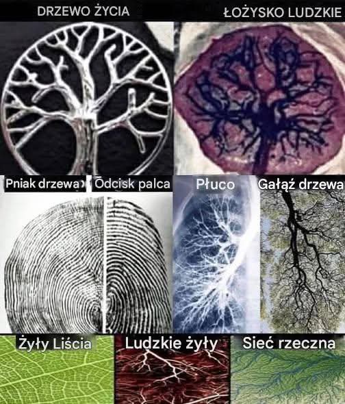 CZY NIEZALEŻNE MEDIA&nbsp;PRZETRWAJĄ?