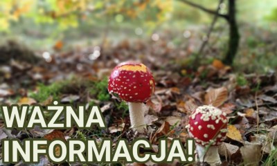 KONIEC NIEZALEŻNEGO INTERNETU?