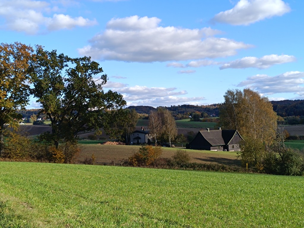 LATO PACHNIAŁO SŁOŃCEM, DZIŚ ŚMIERDZI&nbsp;LISTOPADEM