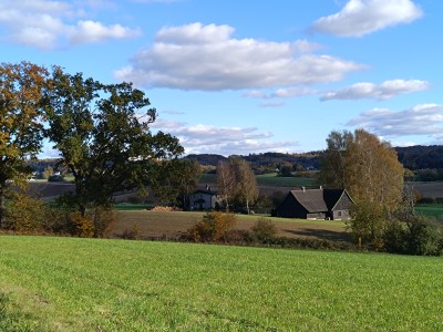 LATO PACHNIAŁO SŁOŃCEM, DZIŚ&nbsp;LISTOPADEM