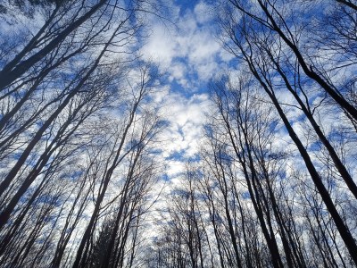 GEOINŻYNIERIA OFICJALNIE POTWIERDZONA!